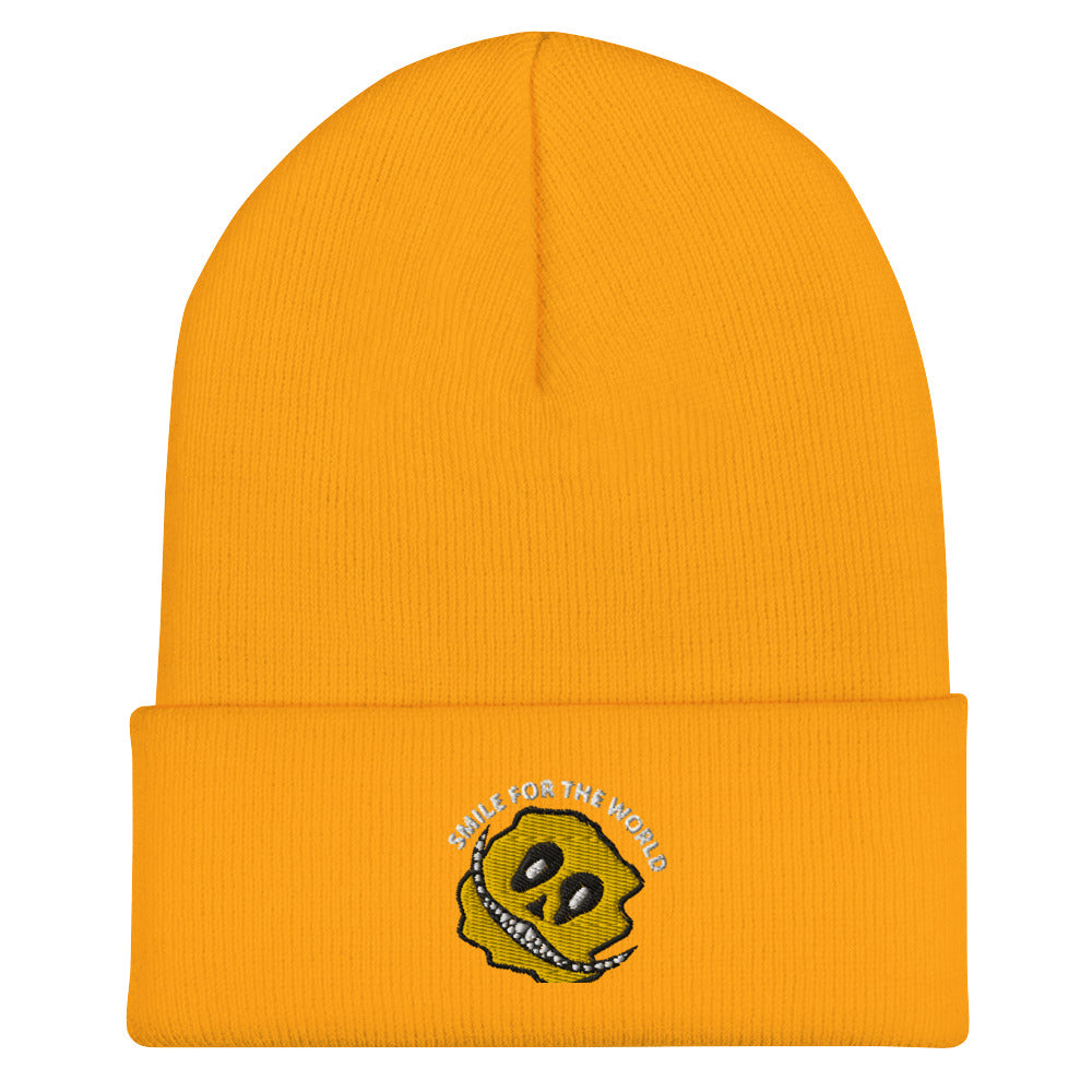 Cuffed Beanie