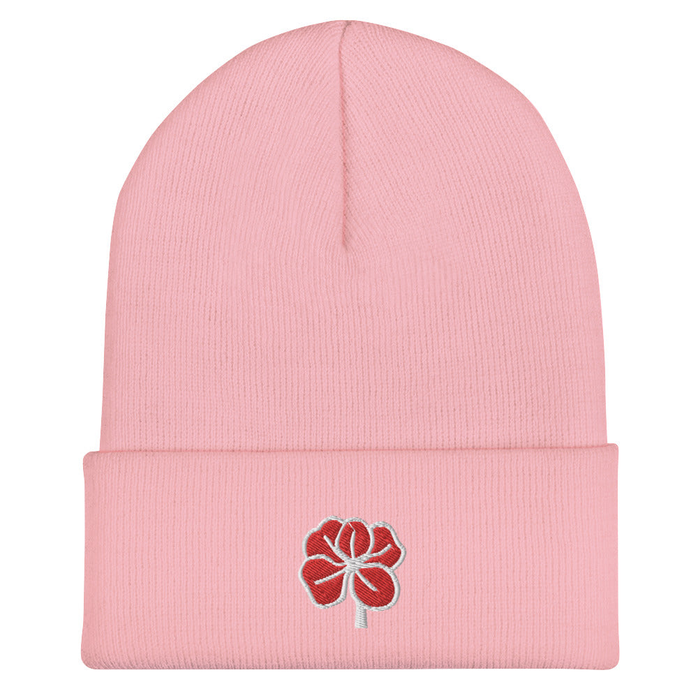 Cuffed Beanie