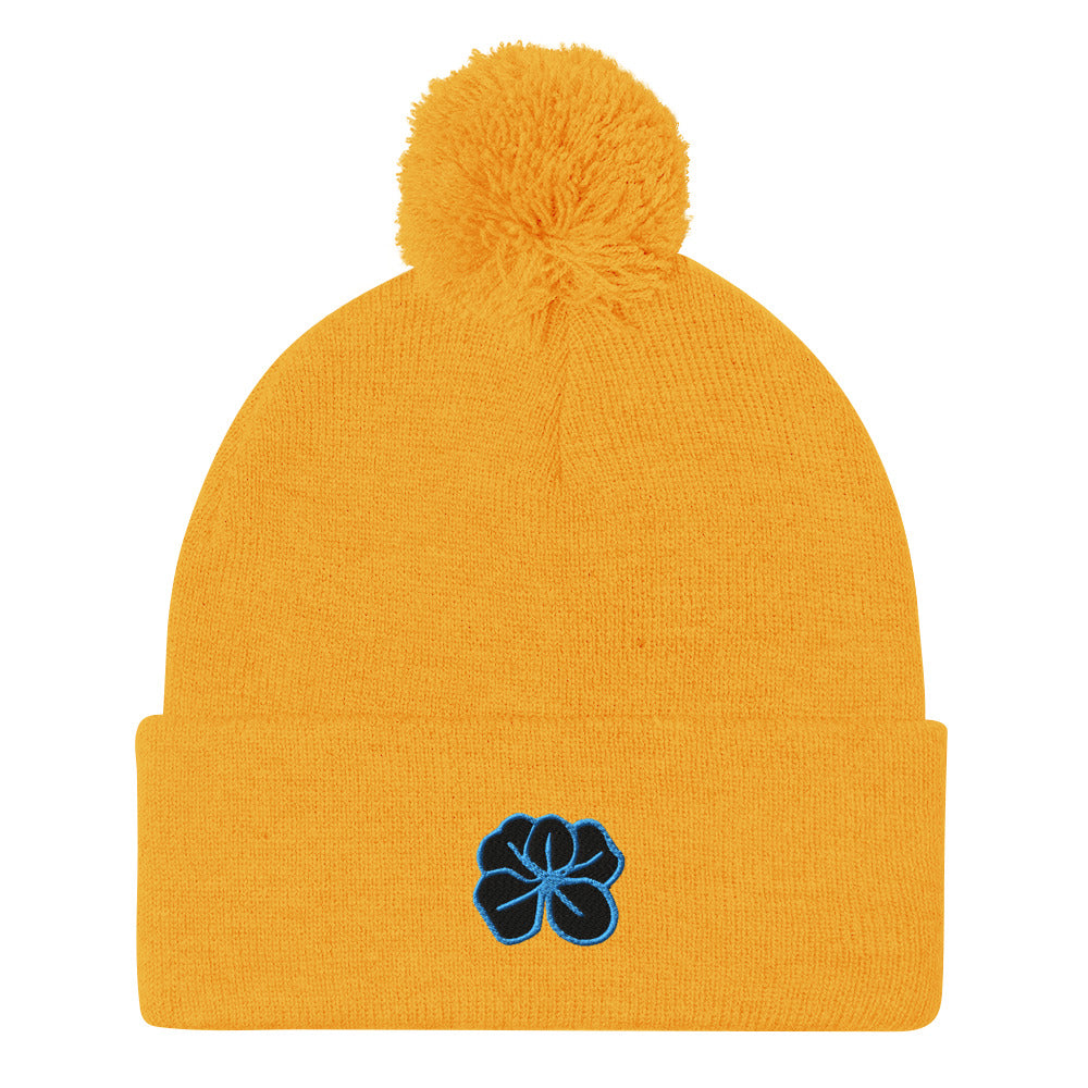 Pom-Pom Beanie